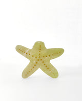 Gancho estrella de mar