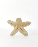 Gancho estrella de mar perlada