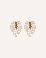 Aretes Grandes Moda