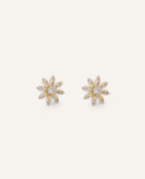 Aretes Premium Zircón Stud Dorado