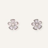 Arete Moda Bloom Plateado
