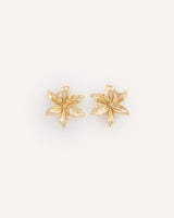 Aretes Trendy Flor Dorado
