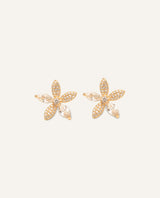 Aretes Premium Zircón Bañado en Oro Flor Dorado