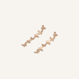 1000055586