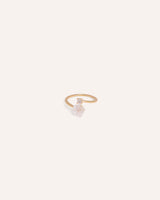 Anillo Regulable Premium Zircón Flor Dorado