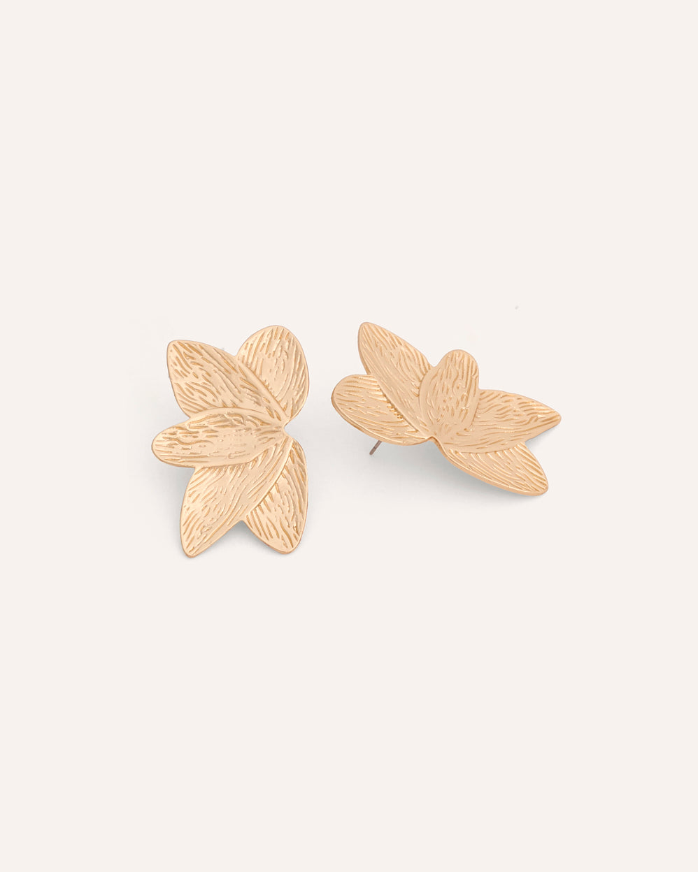 1000056317