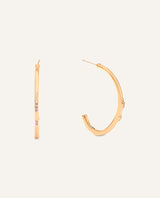 Aretes Premium Bañado en Oro Dorado
